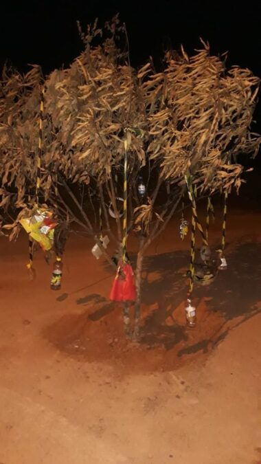Moradores da Cunha Vasconcelos plantam árvore no meio da rua em protesto por buraqueira