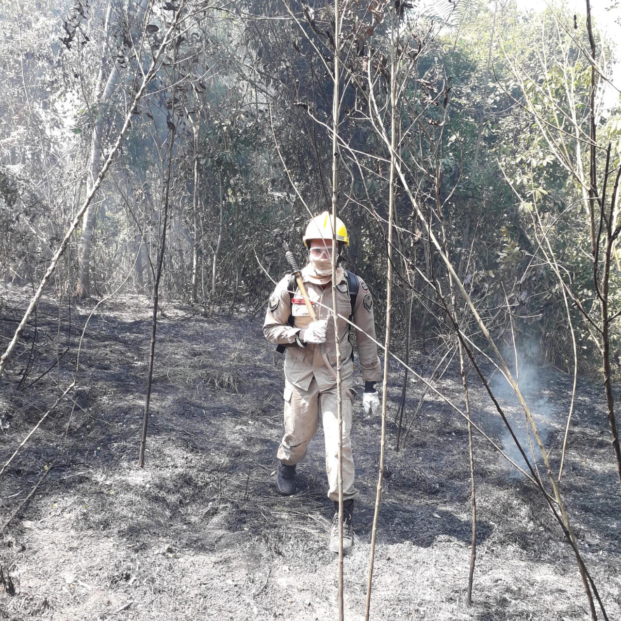 Incêndio devasta vegetação no Parque Ambiental de Sena Madureira