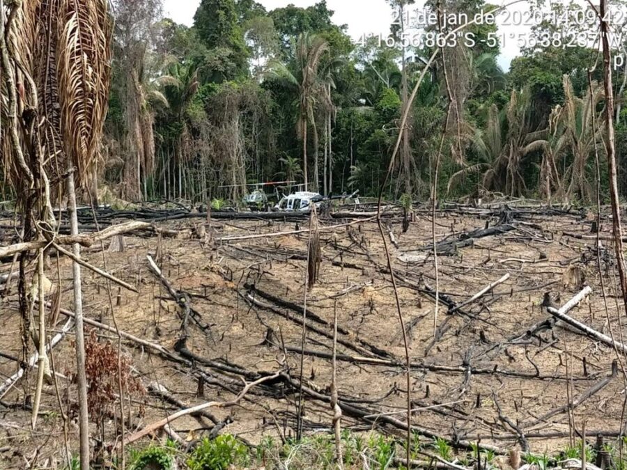 Três municípios do Acre estão entre os dez com mais alertas de desmate na Amazônia