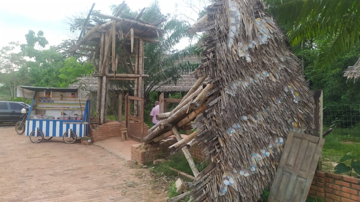 Imagens mostram Horto Florestal de Sena Madureira totalmente abandonado