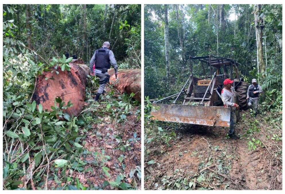 Em Sena Madureira quatro pessoas são presas ao usar trator para invadir fazenda e furtar madeira