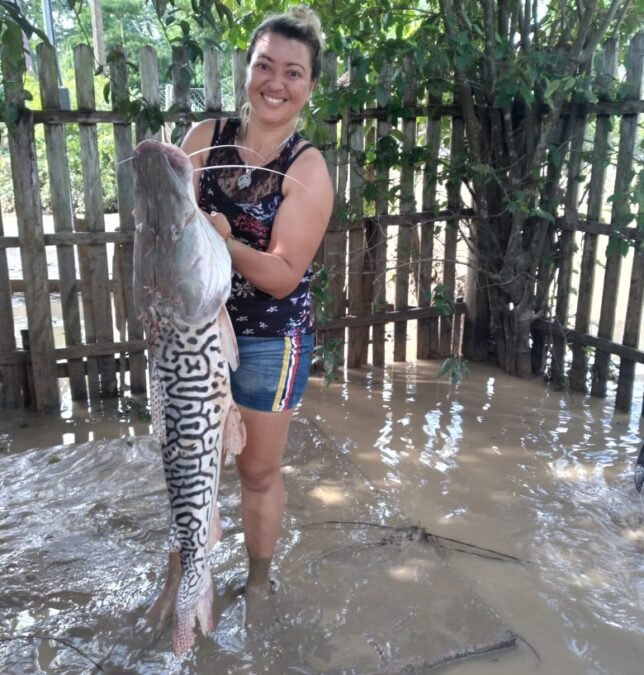 Moradora encontra peixe gigante em seu quintal durante limpeza após vazante do Rio Iaco