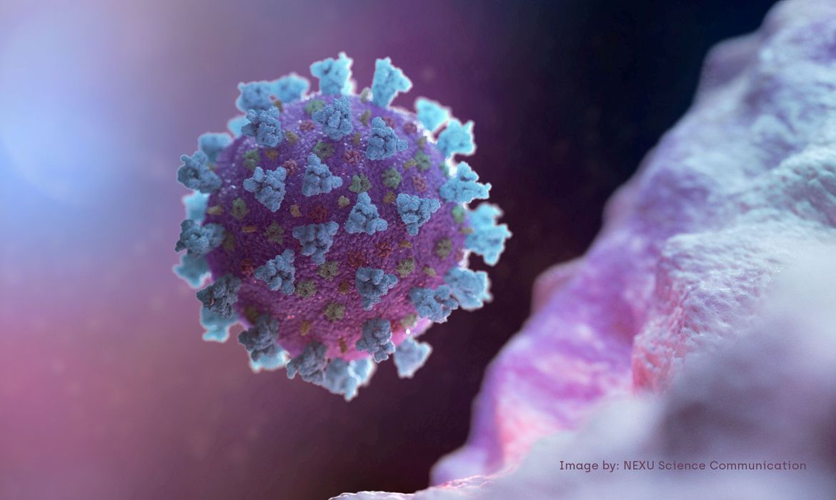 COVID-19 Nova variante não agrava a doença em crianças. “O que houve foi um relaxamento impactante na faixa etária pediátrica”, afirma infectologista pediátrico