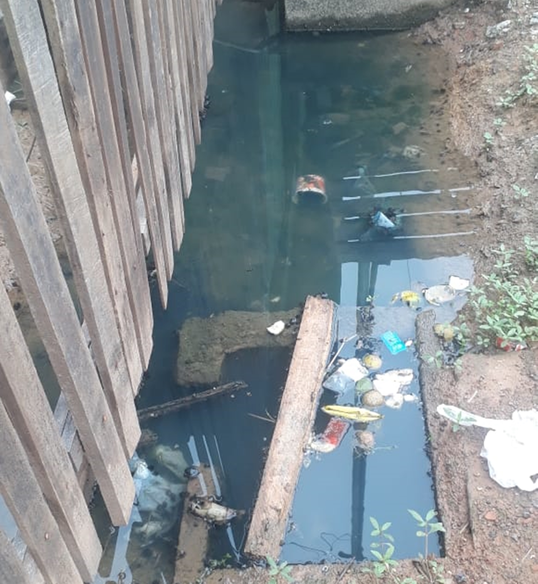 Moradores cobram da prefeitura de Sena providências sobre esgoto a céu aberto na rua Maranhão
