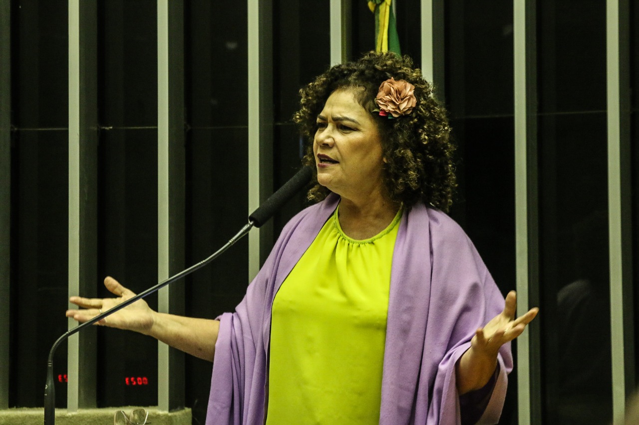 Deputada Perpétua Almeida vota contra MP que autoriza a privatização da Eletrobras