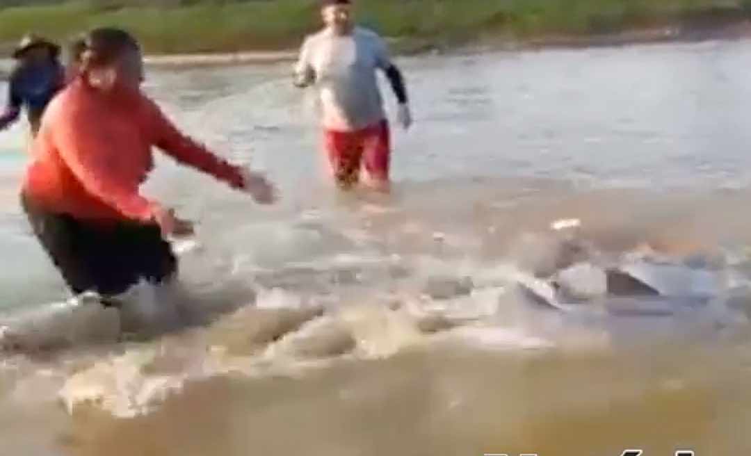 Espécie rara de boto fica presa em malhadeira durante pescaria em Cruzeiro do Sul