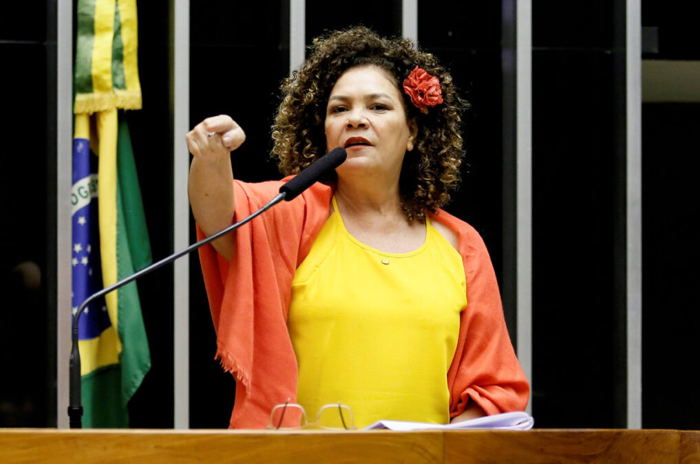 Perpétua alerta: “Não podemos aceitar como liberdade de expressão os atos para 7 de Setembro que ameaçam invadir o Supremo e o Congresso”