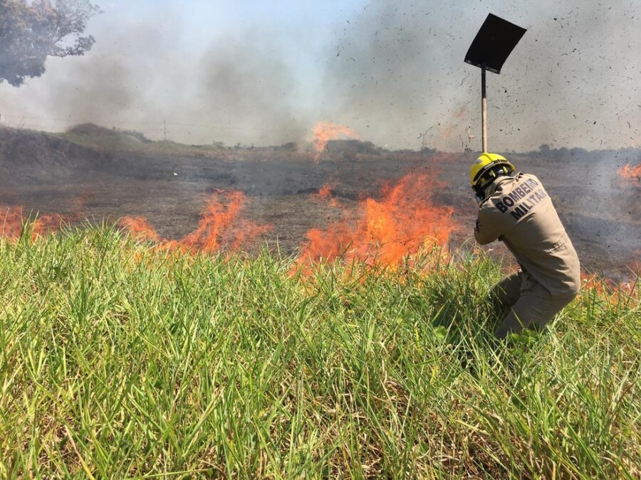 Em apenas quatro dias, Acre registra mais de 200 focos de queimadas