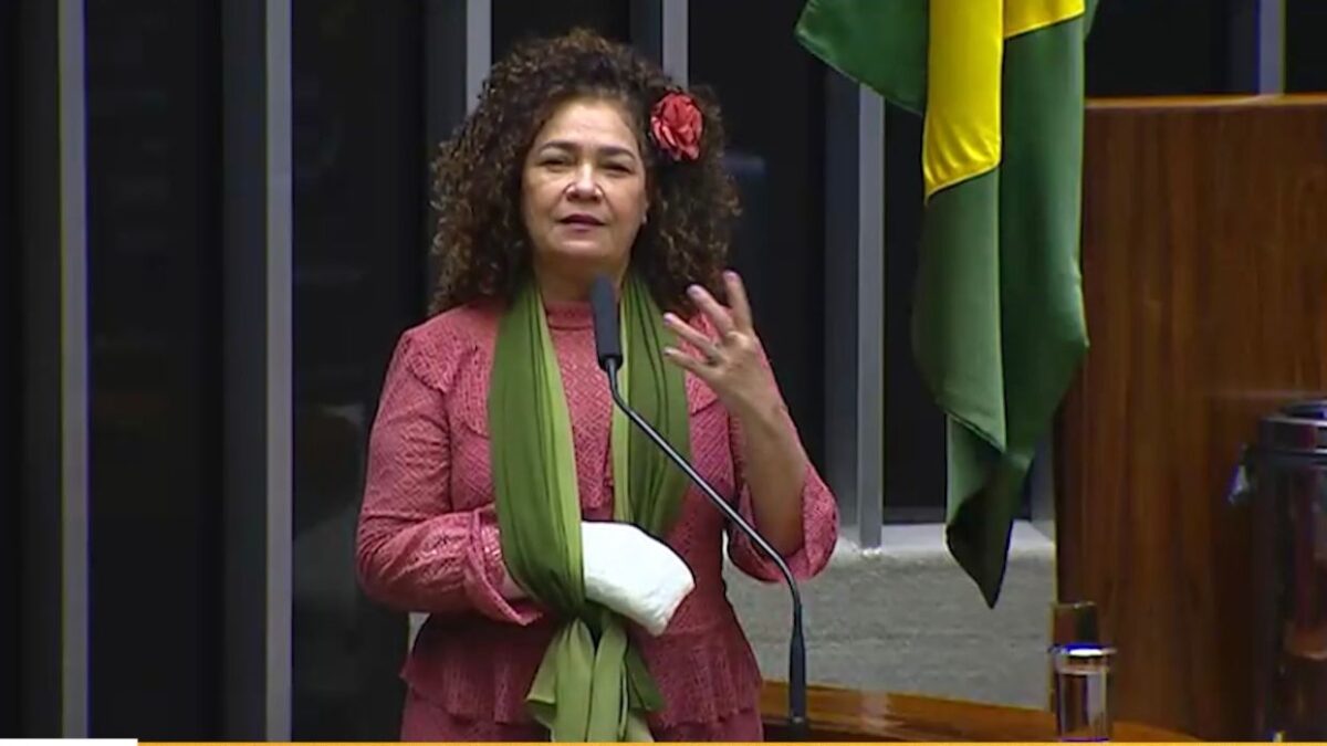 Perpétua defende PL que suspende parcelas de financiamento de veículos para taxistas