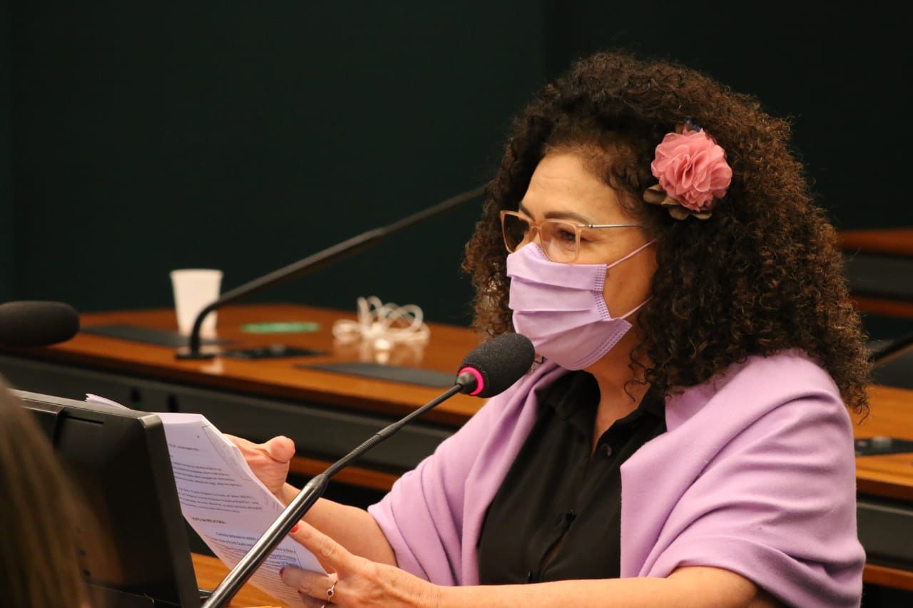 Perpétua solicita informações sobre recursos utilizados por Bolsonaro no 7 de Setembro