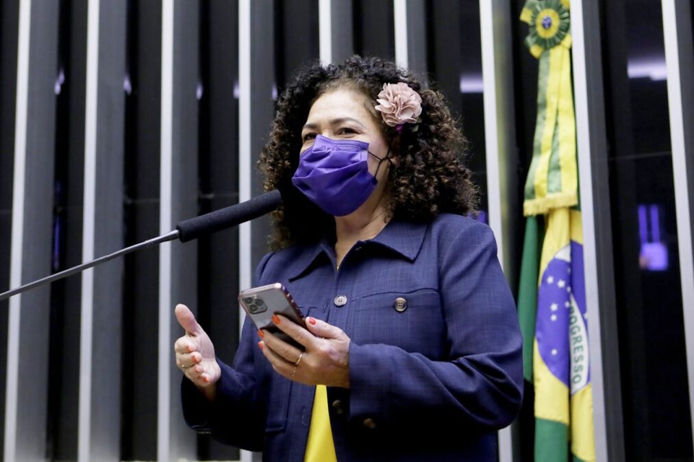 Perpétua relata PL que dá nome de Dom Moacyr a Ponte sobre o Rio Abunã
