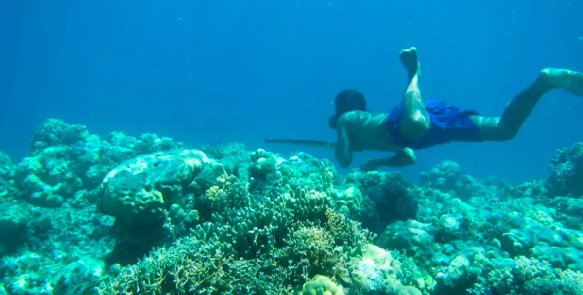 Bajau: Tribo que sofreu uma mutação e hoje pode nadar a 60 metros de profundidade