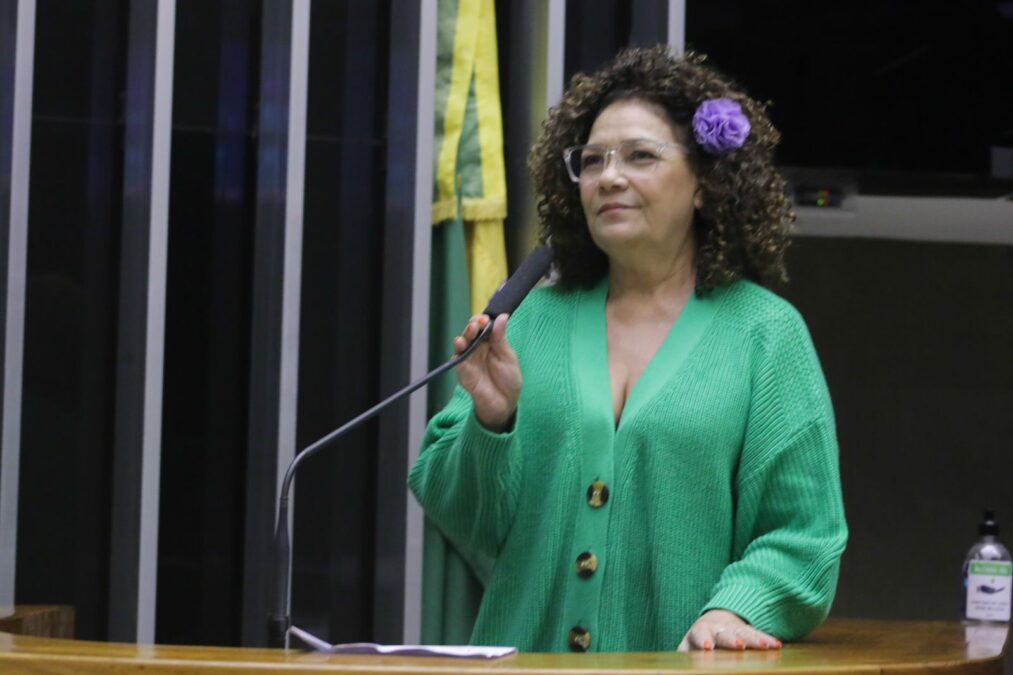 Senado aprova emenda de Perpétua que autoriza a volta do despacho gratuito de bagagem