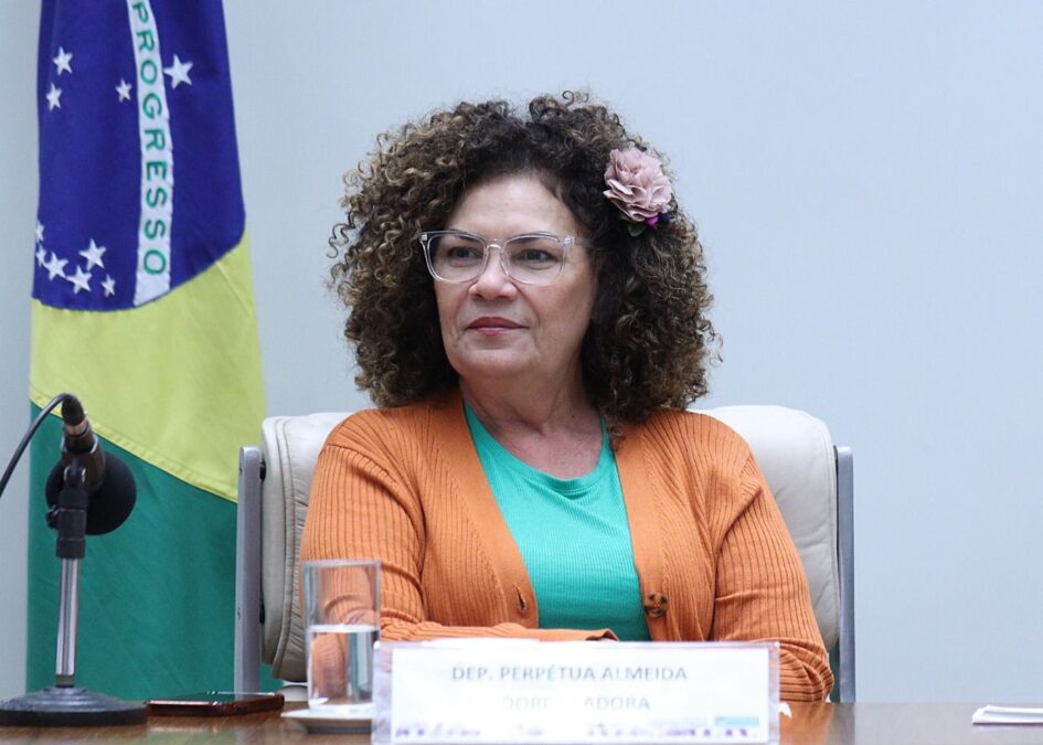 ”É importante falarmos sobre o papel dos bancos na retomada da economia”, diz Perpétua em seminário