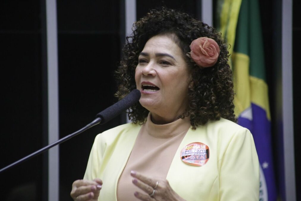 ”Bolsonaro nunca está do lado do povo”, diz Perpétua sobre veto do despacho gratuito de bagagem