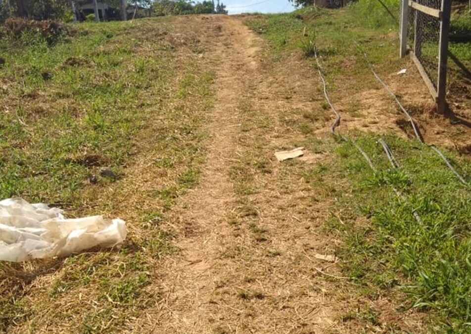 Em Sena moradores do bairro Bom Sucesso reclamam de péssimas condições de rua