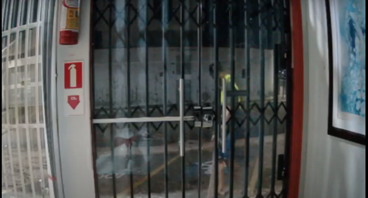 VÍDEO: No Acre, morador de rua invade sex shop e furta kits eróticos no Parque da Maternidade