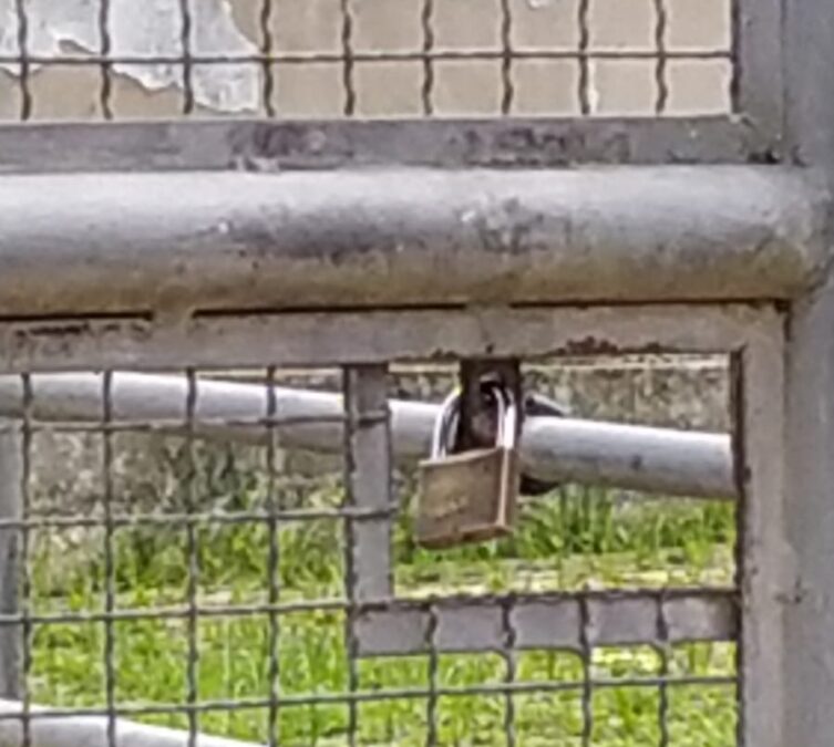 Sede do INSS segue fechado em Sena Madureira causando transtornos à população