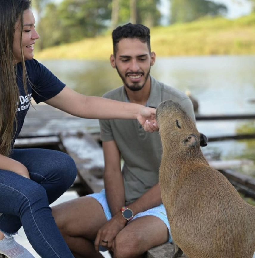 Capivara Filó é devolvida ao influenciador Agenor Tupinambá; veja