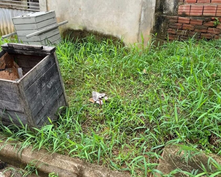 SENA: Polícia do Acre confirma inocência de adolescente apreendida por abandono de bebê e procura suspeito pelo crime