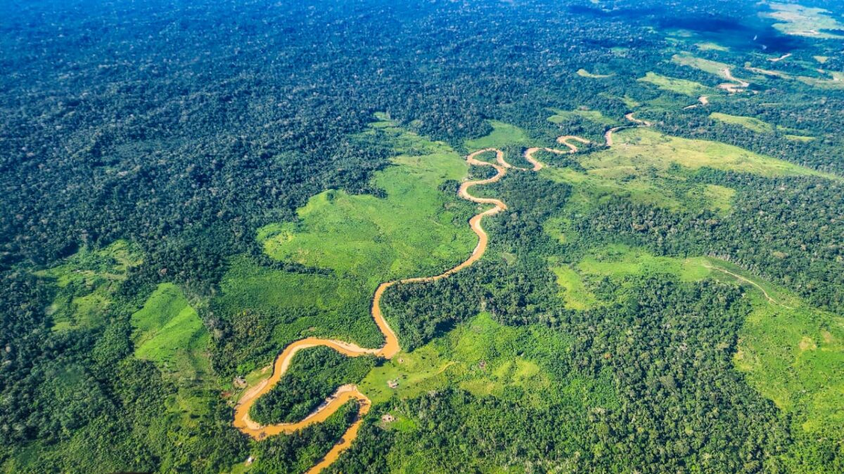 Sob comando de Marina, alerta de desmatamento cai 39% e marca 3ª menor série histórica