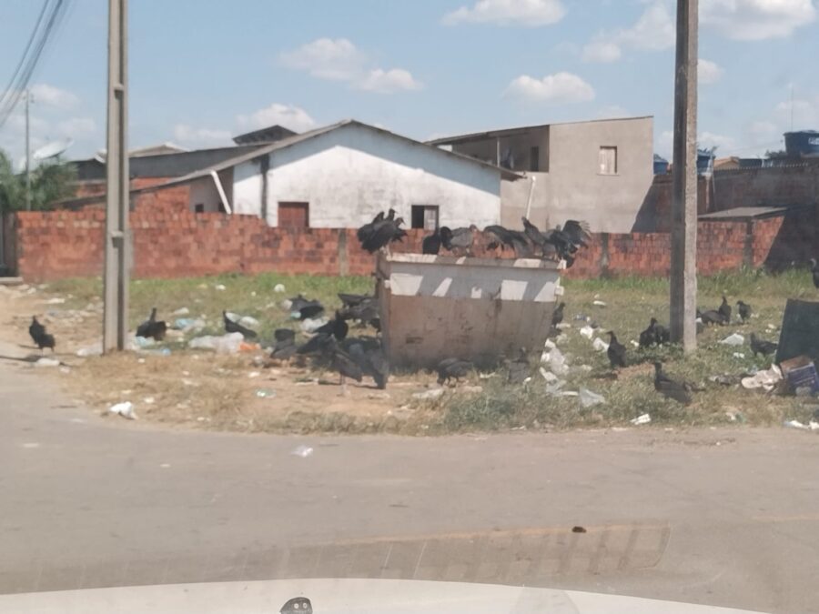 Restos de animais estão sendo jogados em caixa de lixo, denuncia morador de Sena Madureira