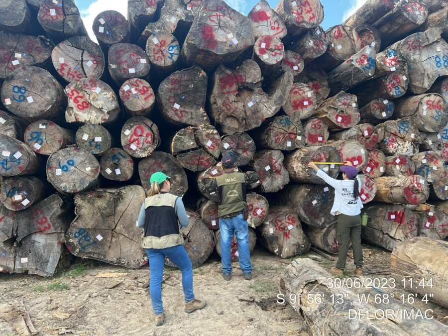 Governo promove diálogo regional para o fortalecimento do setor florestal madeireiro na Amazônia