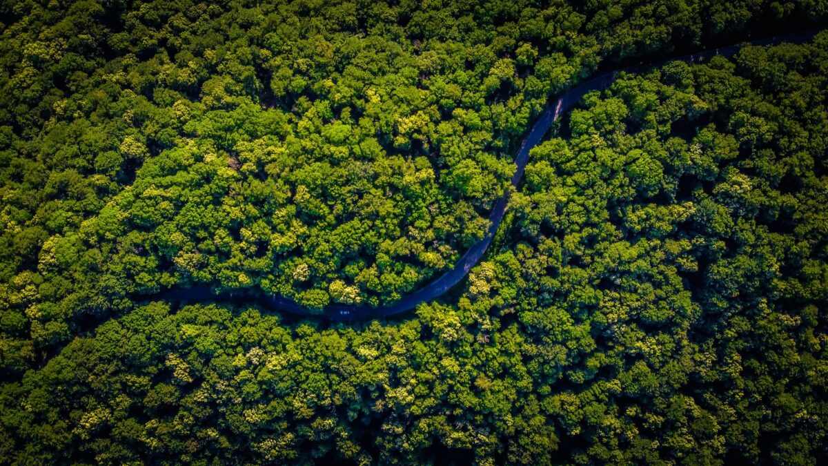 Acre promove Fórum de Bioeconomia da Amazônia