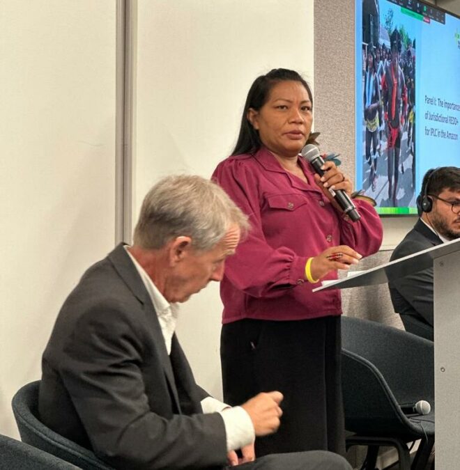 Gestores debatem participação dos povos indígenas e comunidades tradicionais em projetos de REDD+ Jurisdicional