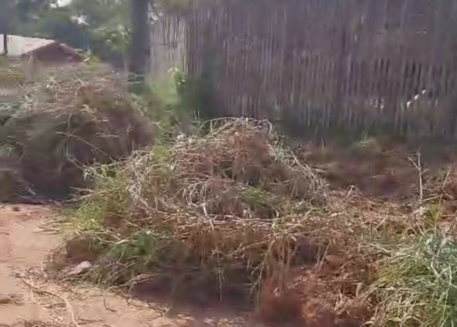 Moradores denunciam falta de responsabilidade em serviços da prefeitura no bairro Cristo Libertador