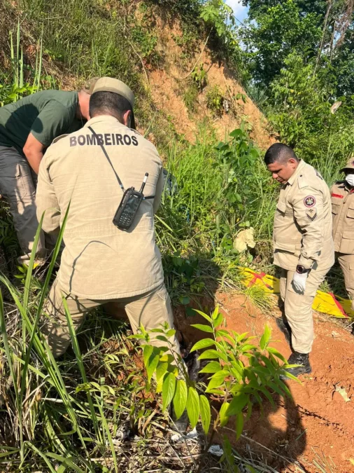 Corpo de mulher encontrado em cova rasa após denúncia; suspeito confessa crime