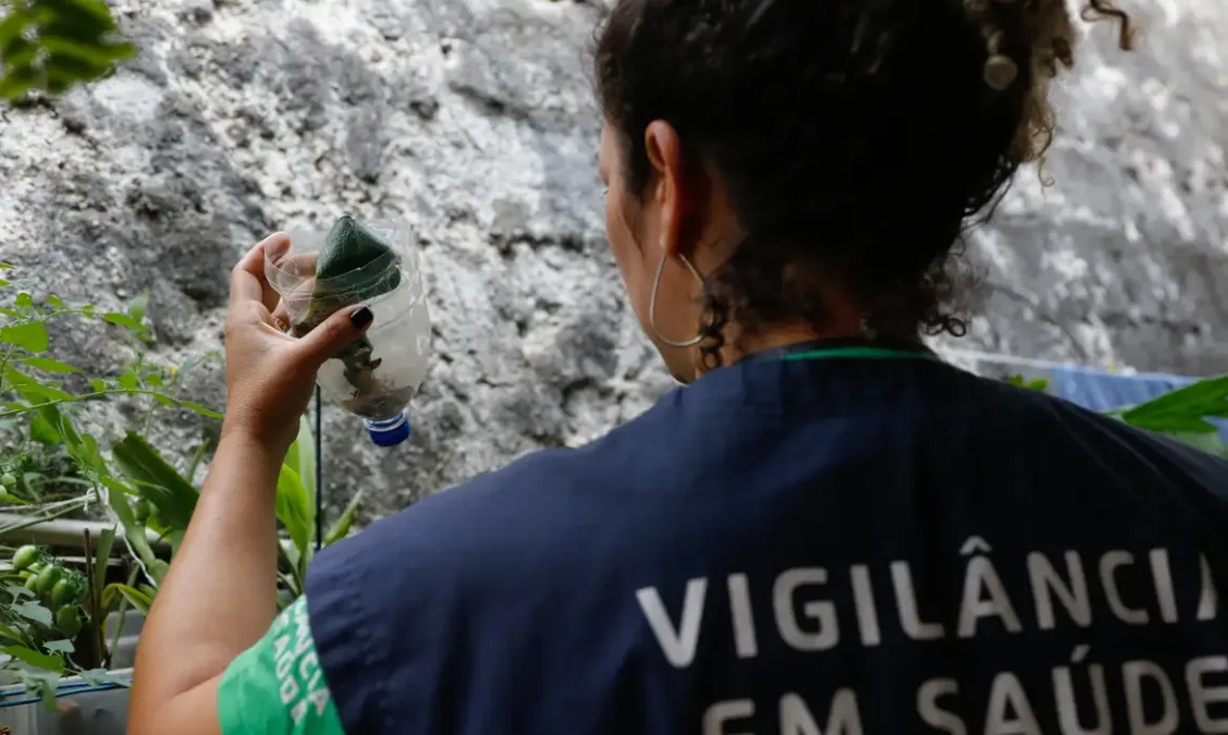 Domingo é o Dia Nacional de Combate ao Aedes Aegypti