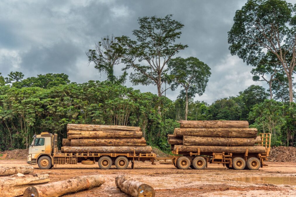 Desafios na exportação: Acre perde quase 10 milhões de dólares em 2023 devido à queda nas exportações de madeira