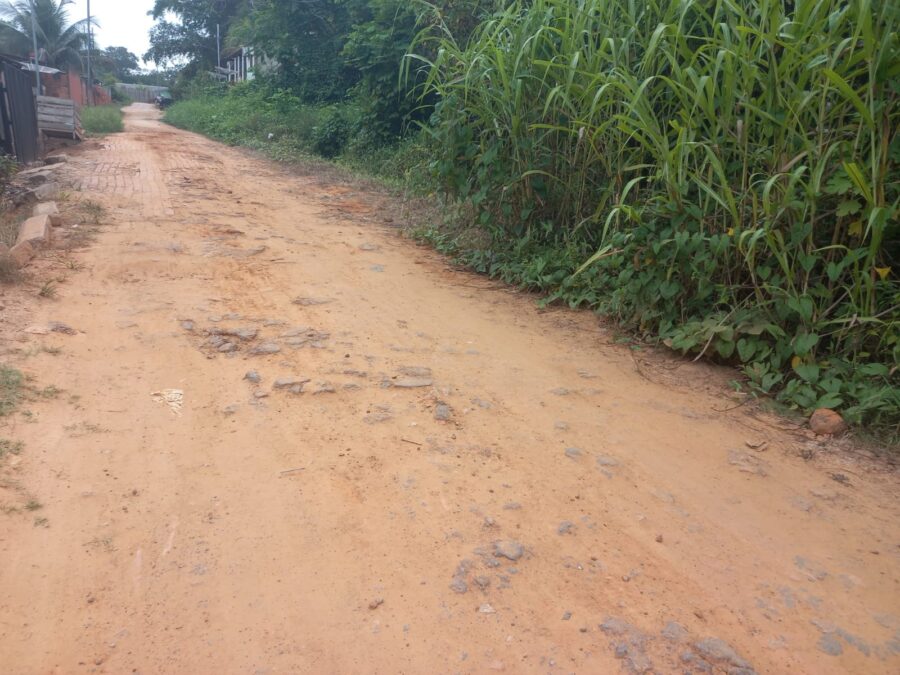 Com rua em estado de abandono, moradores do Ana Vieira em Sena pedem socorro!
