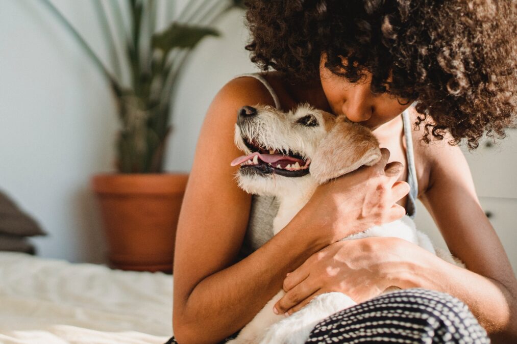 Lei de circulação de animais em condomínios: Novas regras no Acre garantem convivência pacífica e responsável