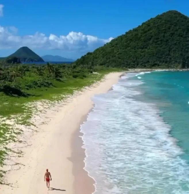 ‘Caseiros de luxo’: empresa busca casal para tomar conta de ilha no Caribe por R$ 82 mil ao mês; veja requisitos