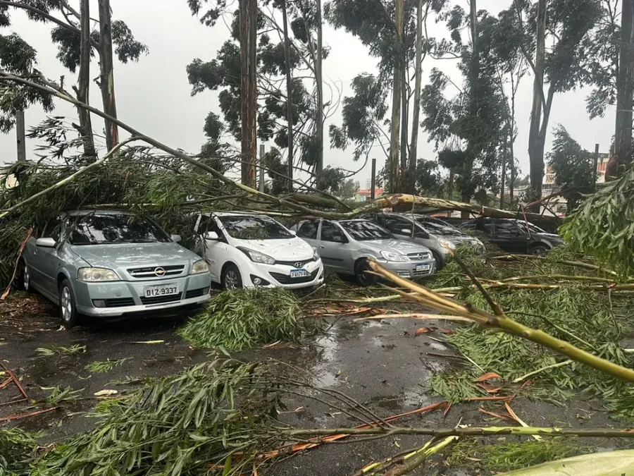 Fortes chuvas no estado de SP causam seis mortes, queda de árvores e muros