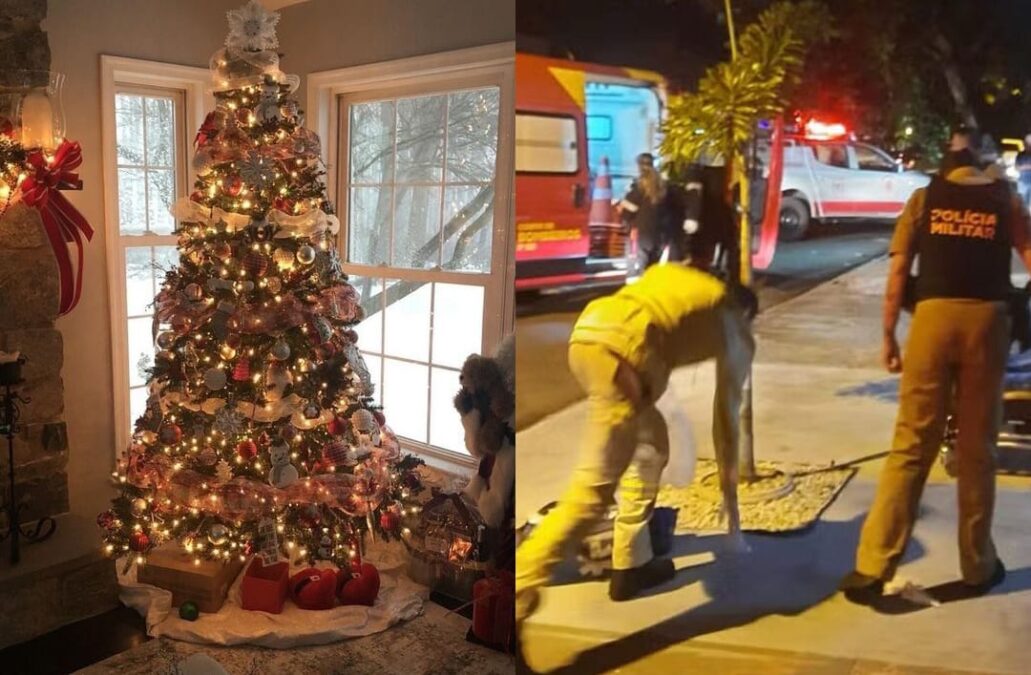 Tragédia na noite de Natal: homem mata três pessoas em briga por herança e deixa quatro feridos em Maringá