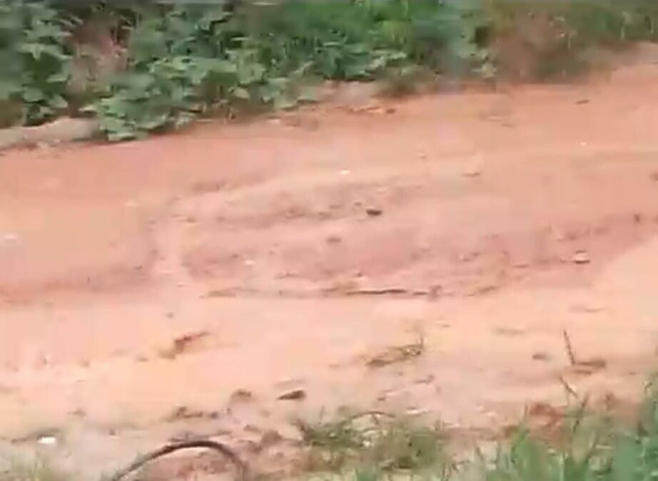 Vídeo: Em Sena moradores do bairro Jardim Primavera, sofrem com ruas intransitáveis após chuvas