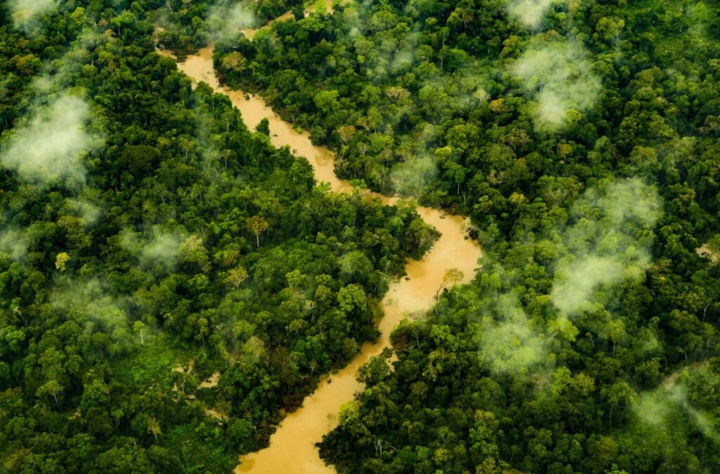 Acre lidera na preservação ambiental: menos alertas de desmatamento na 1ª quinzena de dezembro