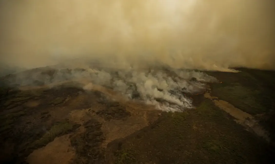 Pesquisa avalia emissão de óxido nitroso na Amazônia e no pantanal: impactos no efeito estufa e mudanças climáticas
