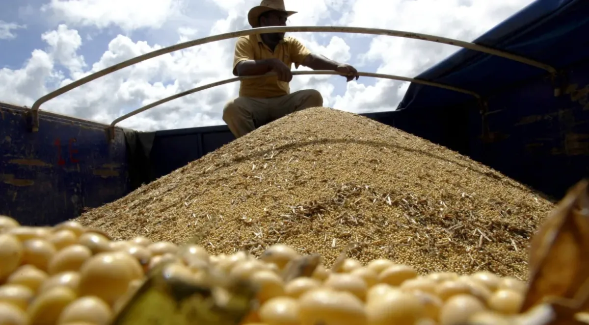 Arábia Saudita deve aumentar demanda por produtos agrícolas brasileiros, indica CNA