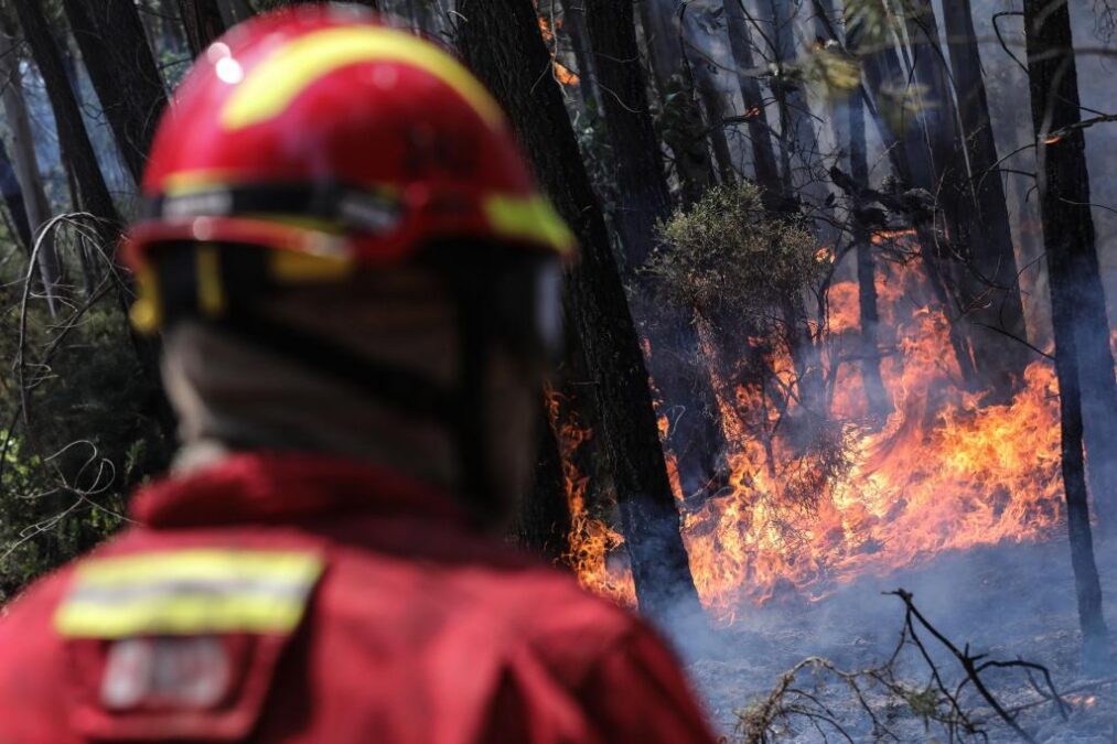 Incêndios no Brasil em 2023: mais de 17,3 milhões de hectares afetados, aumento de 6% em relação a 2022