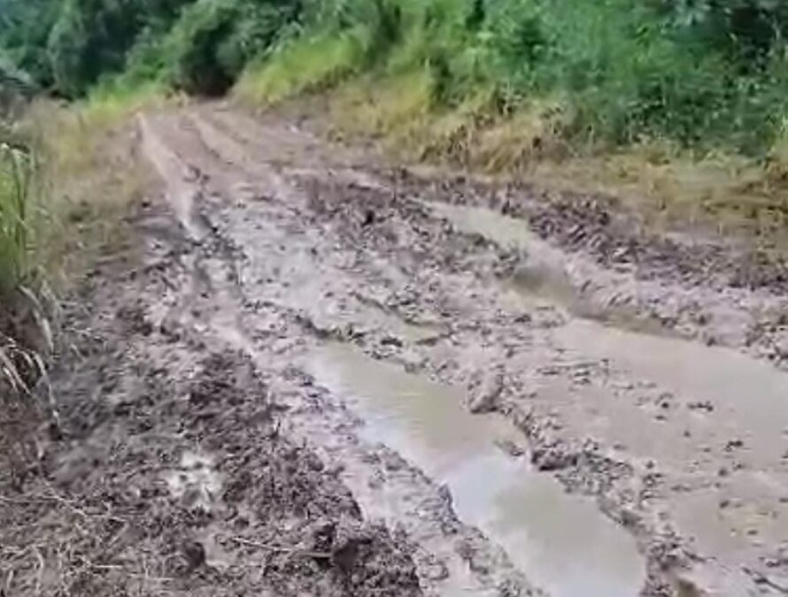 Cidadão denuncia péssimas condições do ramal do 17 em Sena Madureira