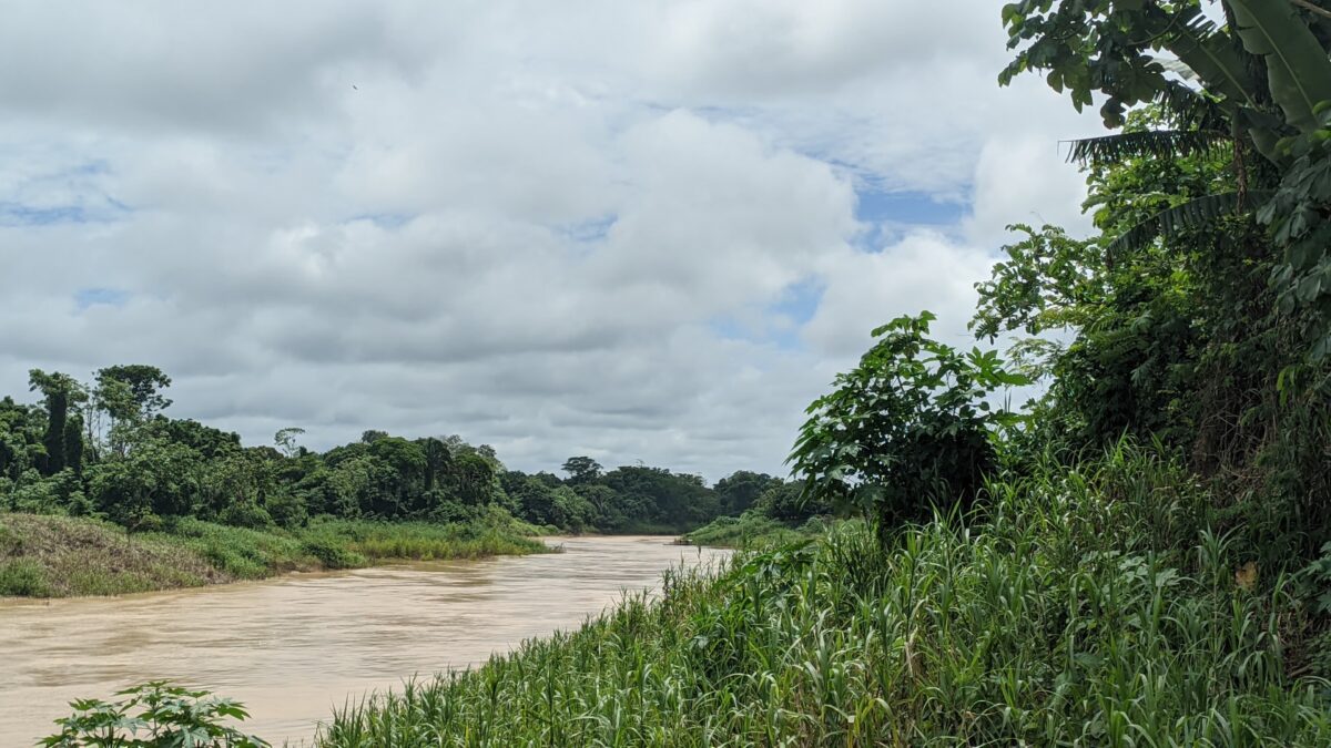Rio Iaco em Sena Madureira registra elevação de 77cm em 24 horas