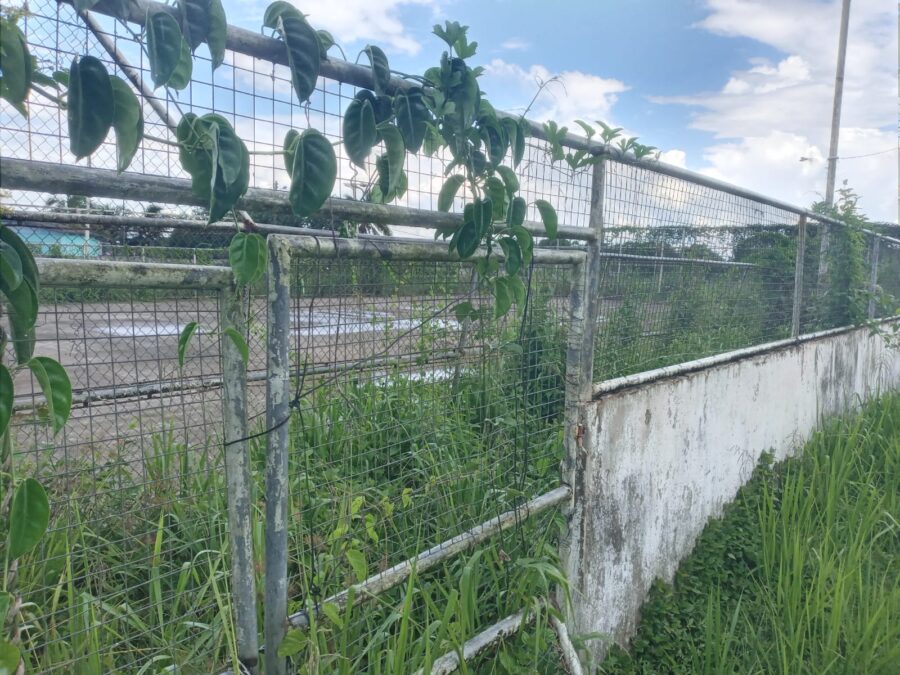 Em Manoel Urbano, quadra de esporte da escola municipal está abandonada e tomada pelo mato denuncia morador