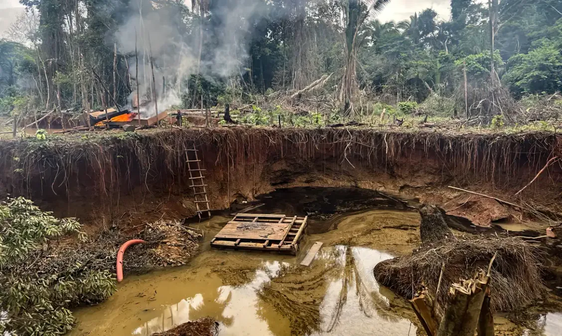 PF e ICMBio desativam garimpos ilegais no Pará