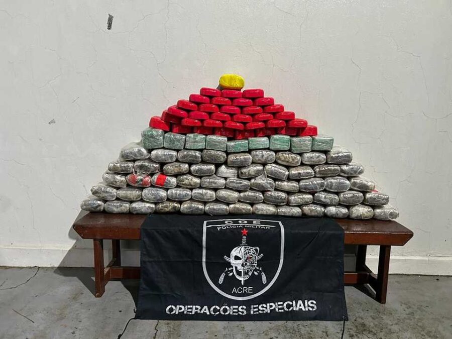Forças de segurança apreendem mais de 95 quilos de entorpecentes em Rodrigues Alves