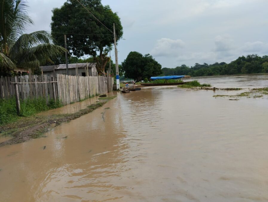 Transbordamento do Rio Purus em Santa Rosa gera preocupação na população