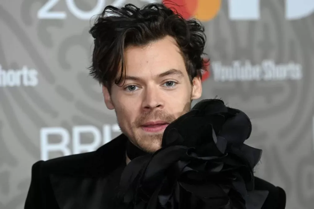 Brasileira é detida por perseguir Harry Styles em Londres